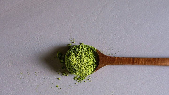 Zahnpflege-Routine beim Hund: Alltag-Checkliste für Hundehalter