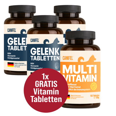3er-Pack CANIFEL Gelenktabletten für Hunde – drei Dosen à 90 Tabletten