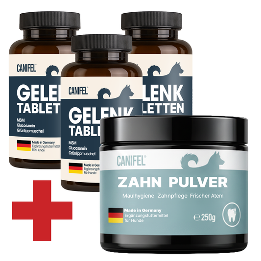 Aktionsbundle: 3er-Pack CANIFEL Gelenktabletten für Hunde plus CANIFEL Zahnpulver 250 g