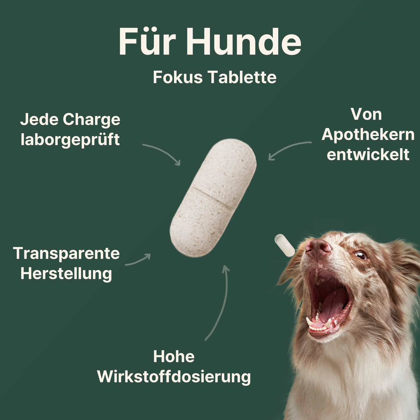 CANIFEL Gelenktabletten 90 Stück