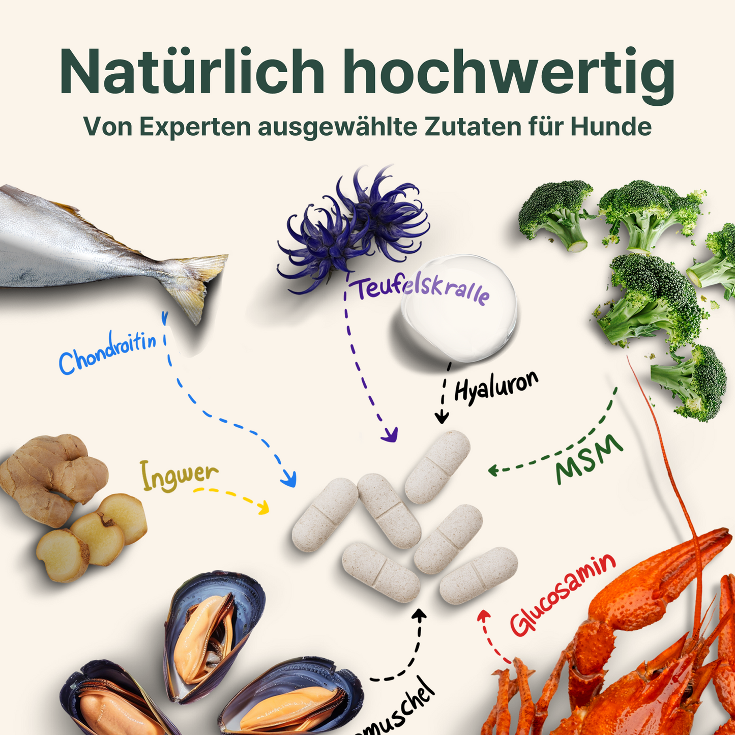 CANIFEL Gelenktabletten 90 Stück