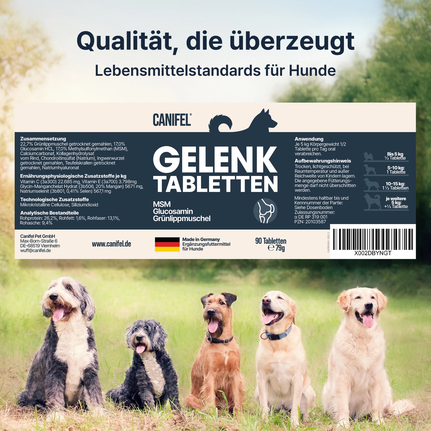 Abbildung des CANIFEL Gelenktabletten Etiketts mit Zusammensetzung, Dosierung, Anwendungshinweisen und Kennzeichnung als Ergänzungsfuttermittel für Hunde.